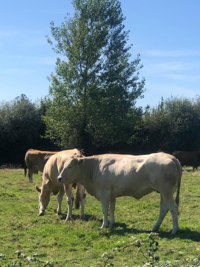 Vut Rural - Boente Villa Arzúa Eksteriør billede